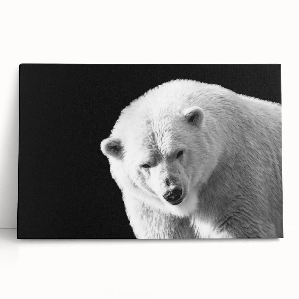 Polar bear wall art design printed on stretched canvas, showcasing a serene Arctic landscape with soft blue hues and intricate detailing, perfect for modern home decor.