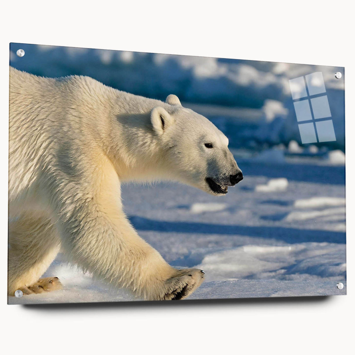 Side view of a polar bear design wall art piece, elegantly displayed in acrylic glass with visible pins, showcasing vibrant colors and intricate details, perfect for contemporary décor.