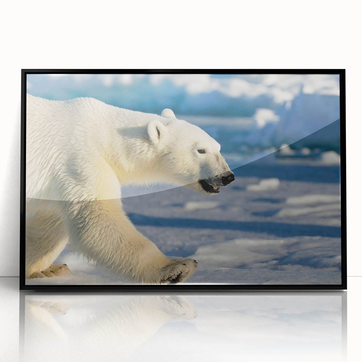 Framed acrylic wall art featuring a striking polar bear design against a black background, perfect for adding a modern touch to home decor. Ideal for animal lovers and nature enthusiasts.