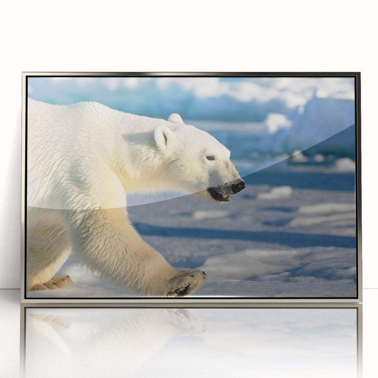 Framed wall art featuring a striking polar bear design with a sleek silver acrylic front. Perfect for adding a modern touch to home decor, emphasizing wildlife conservation.