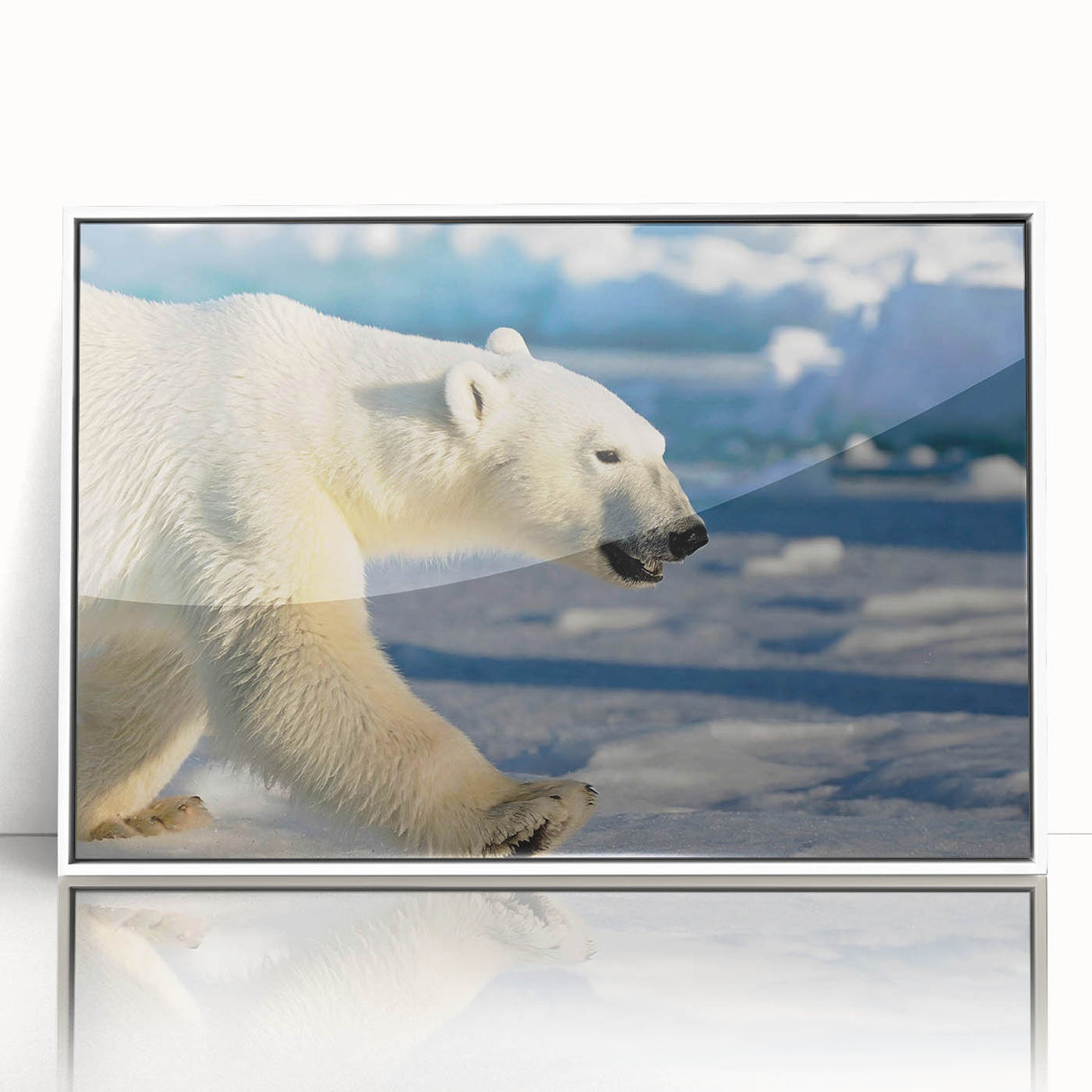 Framed wall art featuring a polar bear design on a white background, showcasing intricate details and vibrant colors, perfect for nature-themed decor.