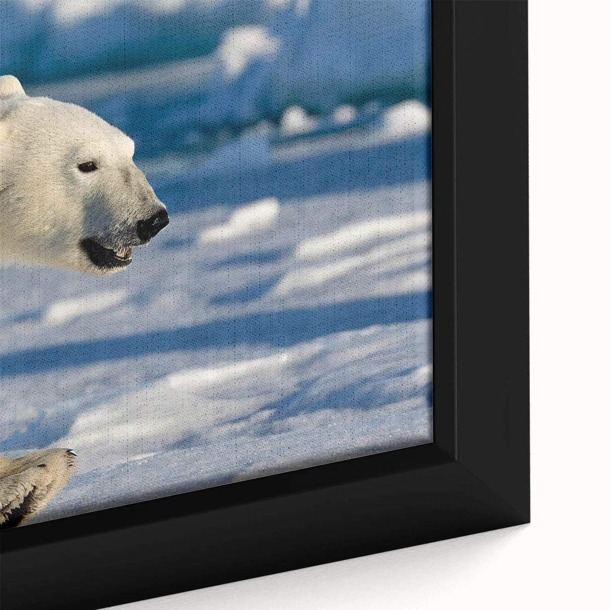 Close-up of a beautifully framed polar bear wall art piece, showcasing intricate details of the bear's fur and striking icy blue background, ideal for wildlife decor.