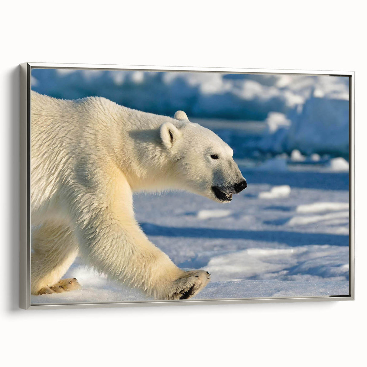 Framed wall art featuring a polar bear design on a textured canvas, showcasing a silver frame with a side view. Ideal for animal lovers and modern decor enthusiasts.