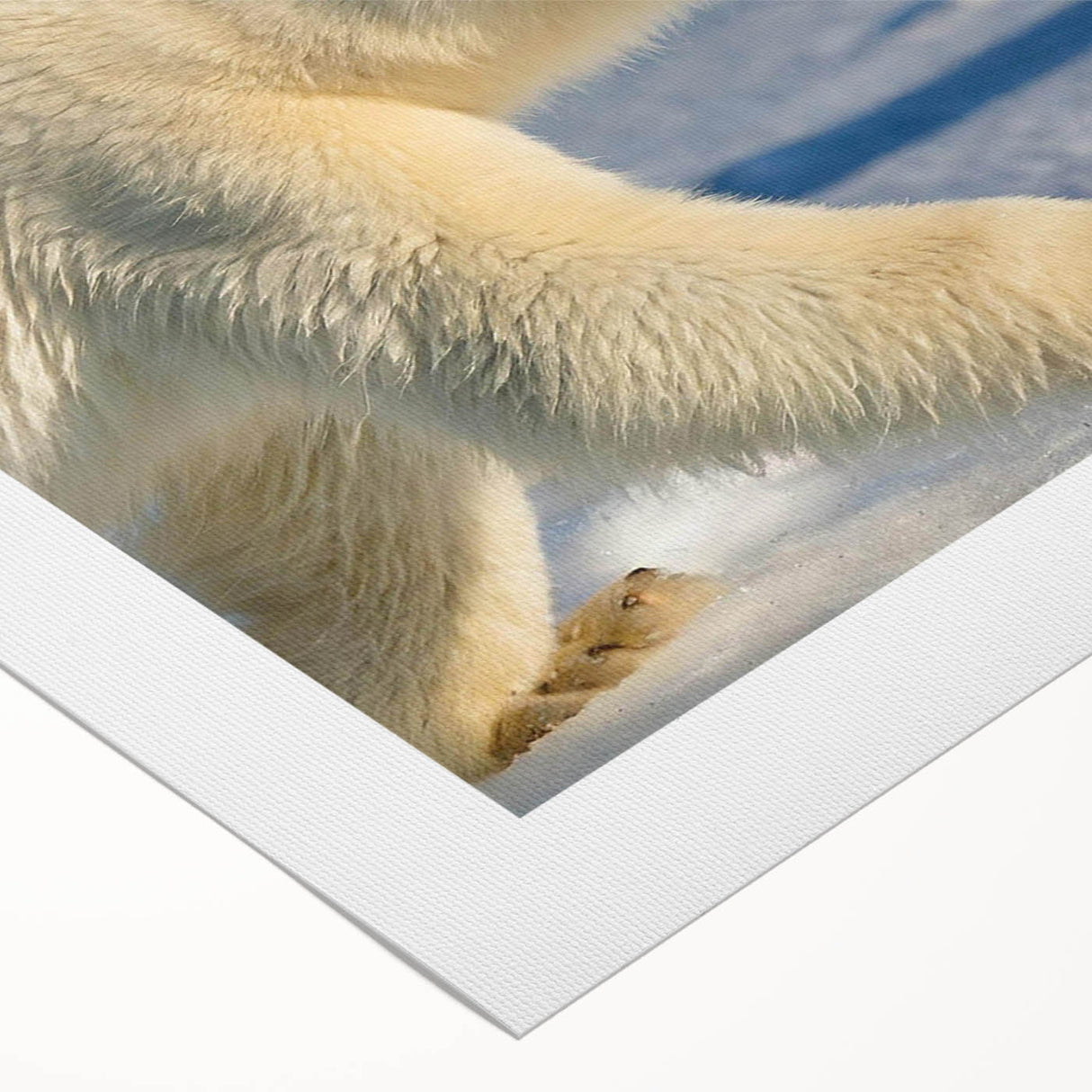 Rolled canvas art showcasing a detailed polar bear design, featuring vibrant colors and intricate textures, ideal for home decor enthusiasts and wildlife lovers.
