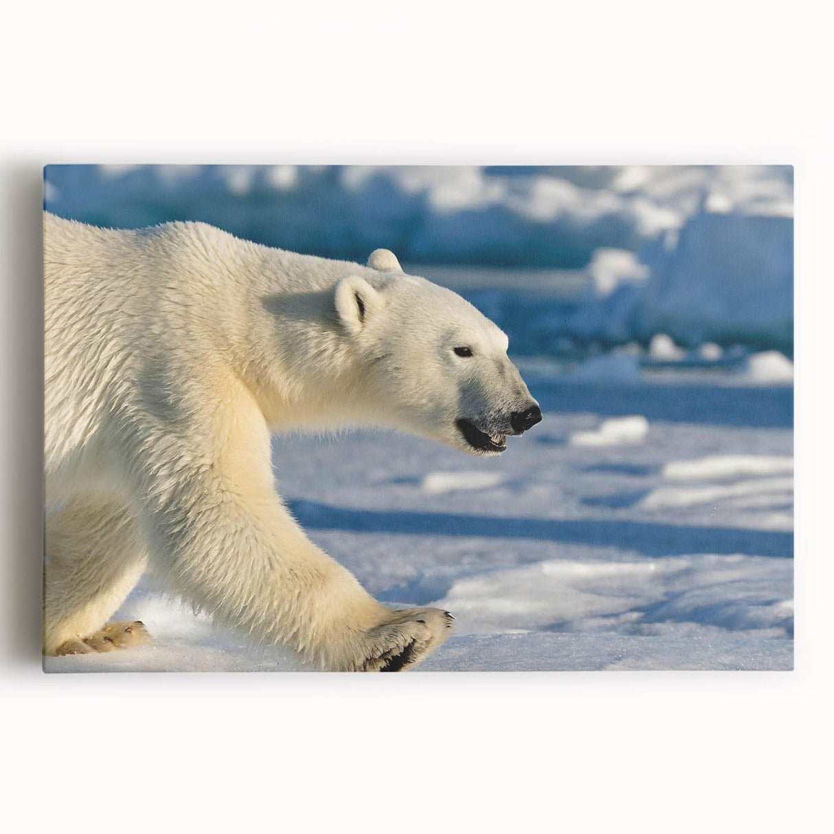 Stretched canvas wall art featuring a majestic polar bear design in a snowy landscape, ideal for wildlife enthusiasts and modern home decor.