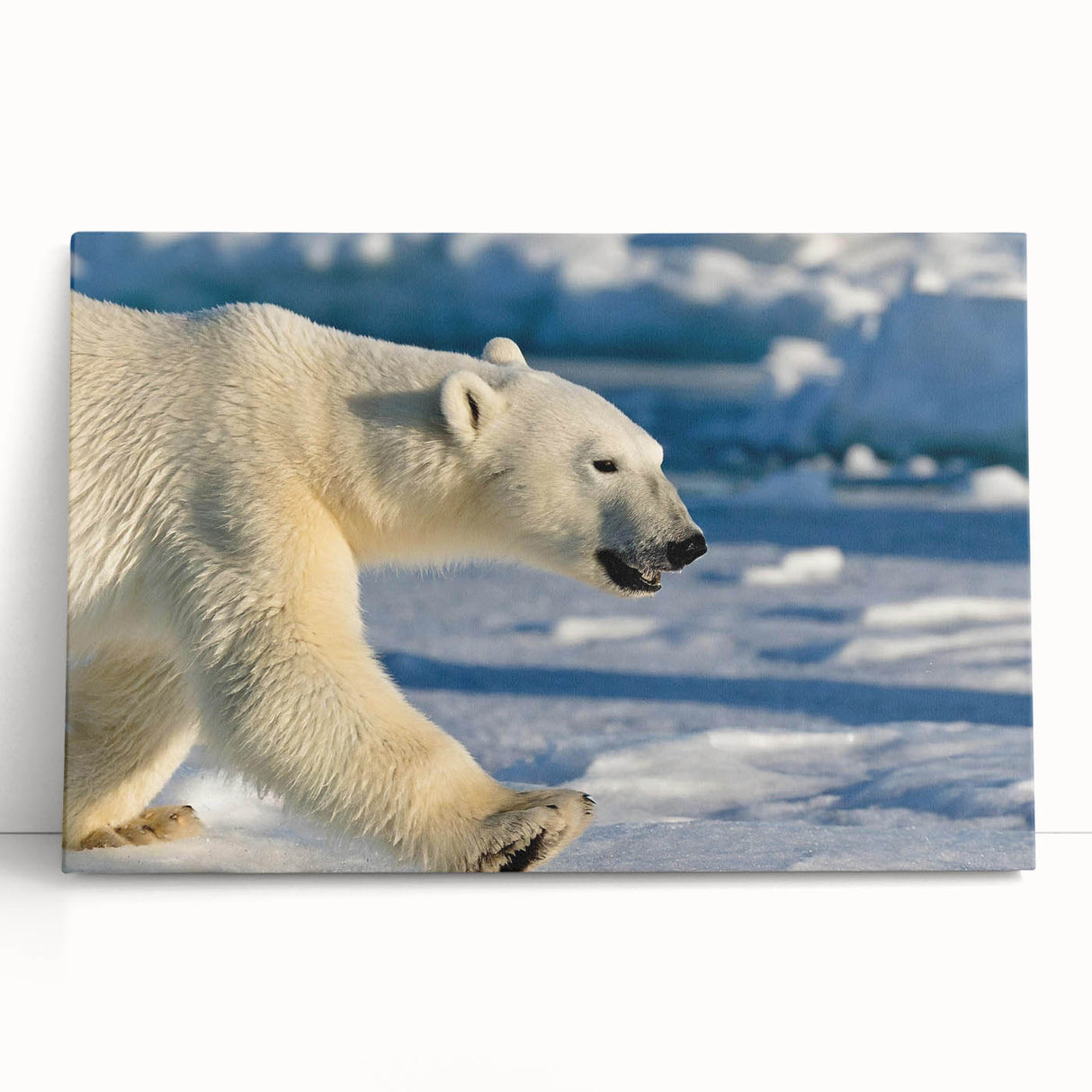 Stretched canvas wall art featuring a serene polar bear design, showcasing soft blue and white tones, perfect for winter-themed home decor.
