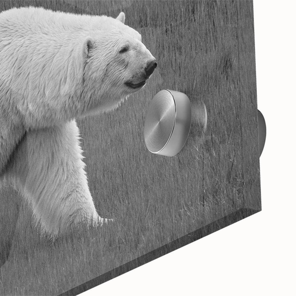 Close-up of a polar bear wall art design showcased in acrylic glass, featuring intricate details and vibrant colors, perfect for modern home decor.