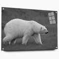 Stylish polar bear wall art design displayed in a modern acrylic frame, showcasing a side profile with striking details and vibrant colors, ideal for contemporary home decor.
