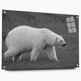 Stylish polar bear wall art design displayed in a modern acrylic frame, showcasing a side profile with striking details and vibrant colors, ideal for contemporary home decor.