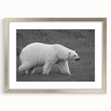 Polar bear-themed wall art framed in silver, showcasing a detailed design with a white bear against a soft background, perfect for nature enthusiasts.