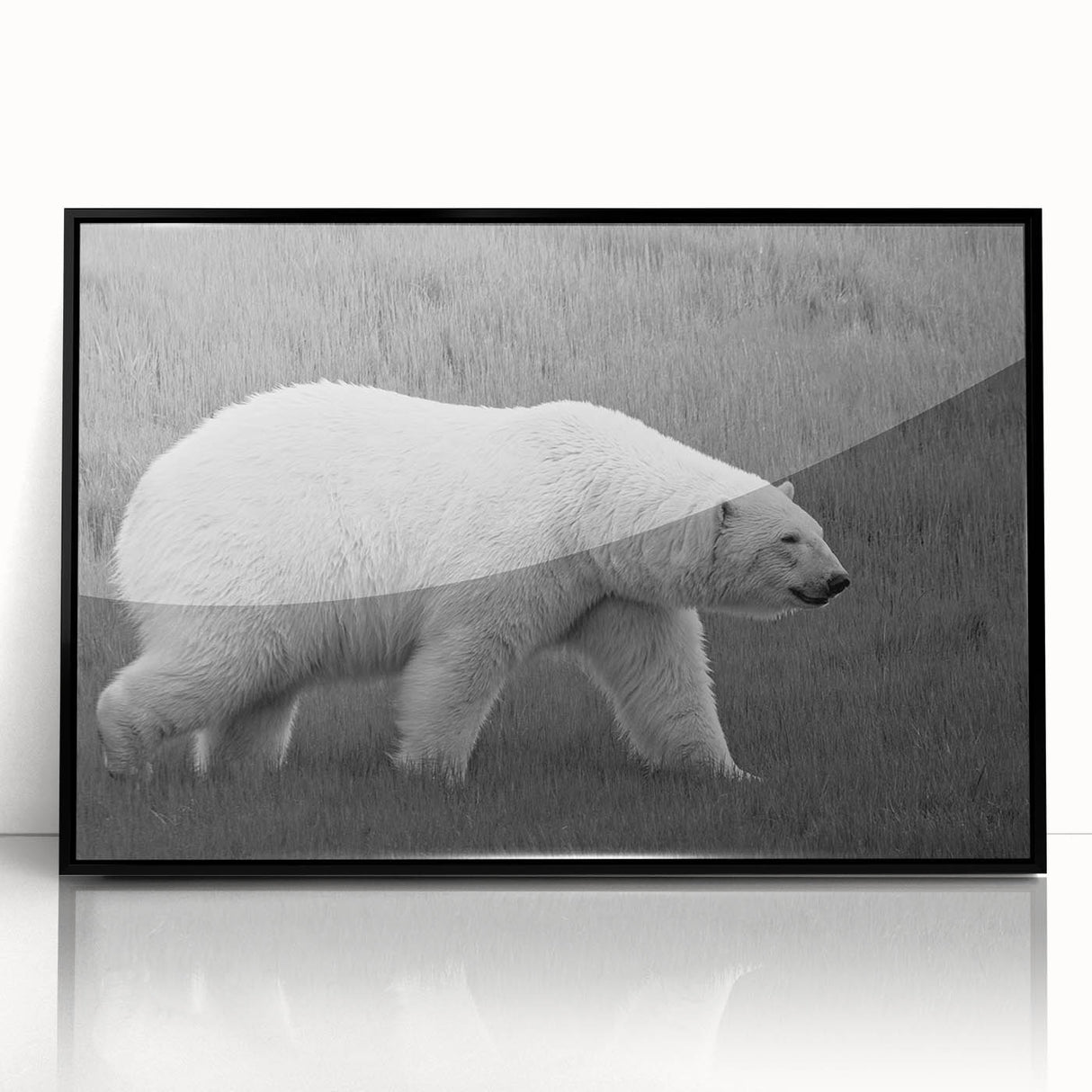 Framed wall art showcasing a detailed polar bear design in an acrylic format, featuring a sleek black frame, ideal for modern home decor and wildlife enthusiasts.