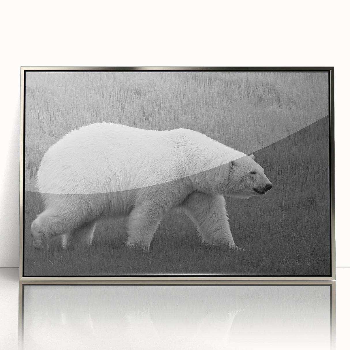 Framed wall art featuring a striking polar bear design in acrylic with a sleek silver frame, showcasing the bear's intricate details and vibrant colors, perfect for wildlife enthusiasts.
