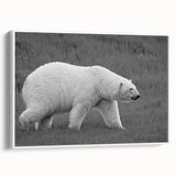Framed canvas wall art showcasing a polar bear design, displayed in a white frame from a side view, perfect for modern wildlife decor.