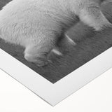 Polar bear wall art design on rolled canvas, showcasing intricate details and vibrant colors, ideal for enhancing home decor with a wildlife theme. Perfect for art enthusiasts and nature lovers.