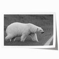 Polar bear wall art print showcasing a striking monochromatic design, featuring intricate details and textures, ideal for contemporary decor. Perfect for animal lovers and eco-conscious spaces.