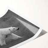 Vibrant polar bear wall art design printed on high-quality rolled canvas, showcasing a striking icy landscape with detailed textures, perfect for home decor.