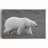 Stretched canvas art depicting a majestic polar bear in a serene snowy landscape, featuring vibrant colors and intricate details, perfect for winter-themed decor.