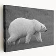 Stretched canvas wall art featuring a polar bear design in a serene snowy landscape, showcasing soft blues and whites, perfect for animal lovers and home decor.