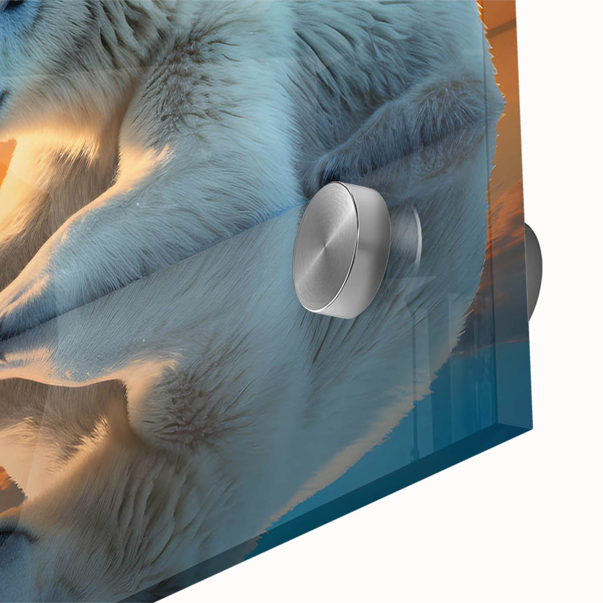 Close-up of a striking polar bear wall art design, showcasing intricate details and vibrant colors on acrylic glass, ideal for nature-themed decor.