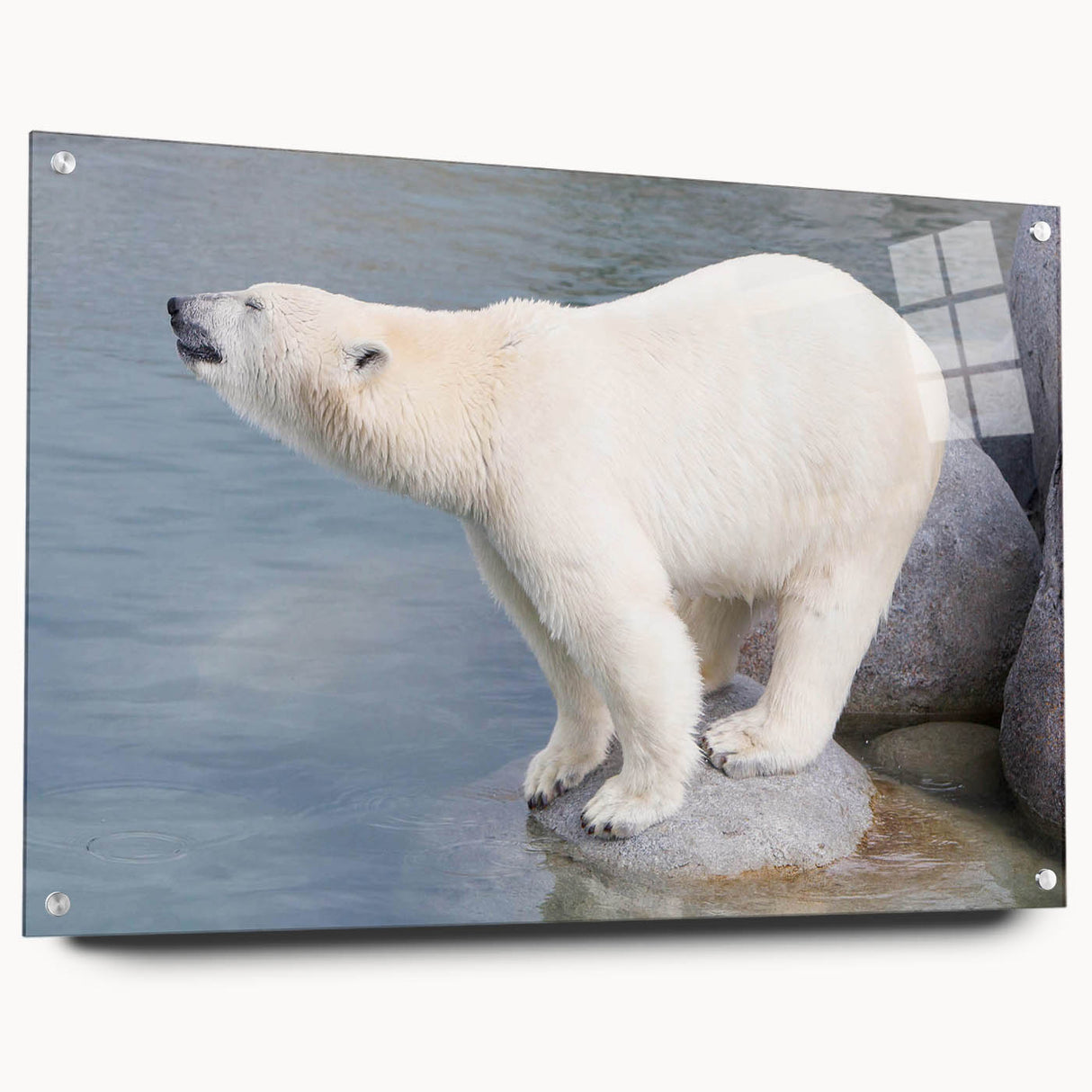Side view of a stylish polar bear wall art piece, showcasing a unique acrylic glass design with visible mounting pins, perfect for contemporary decor.