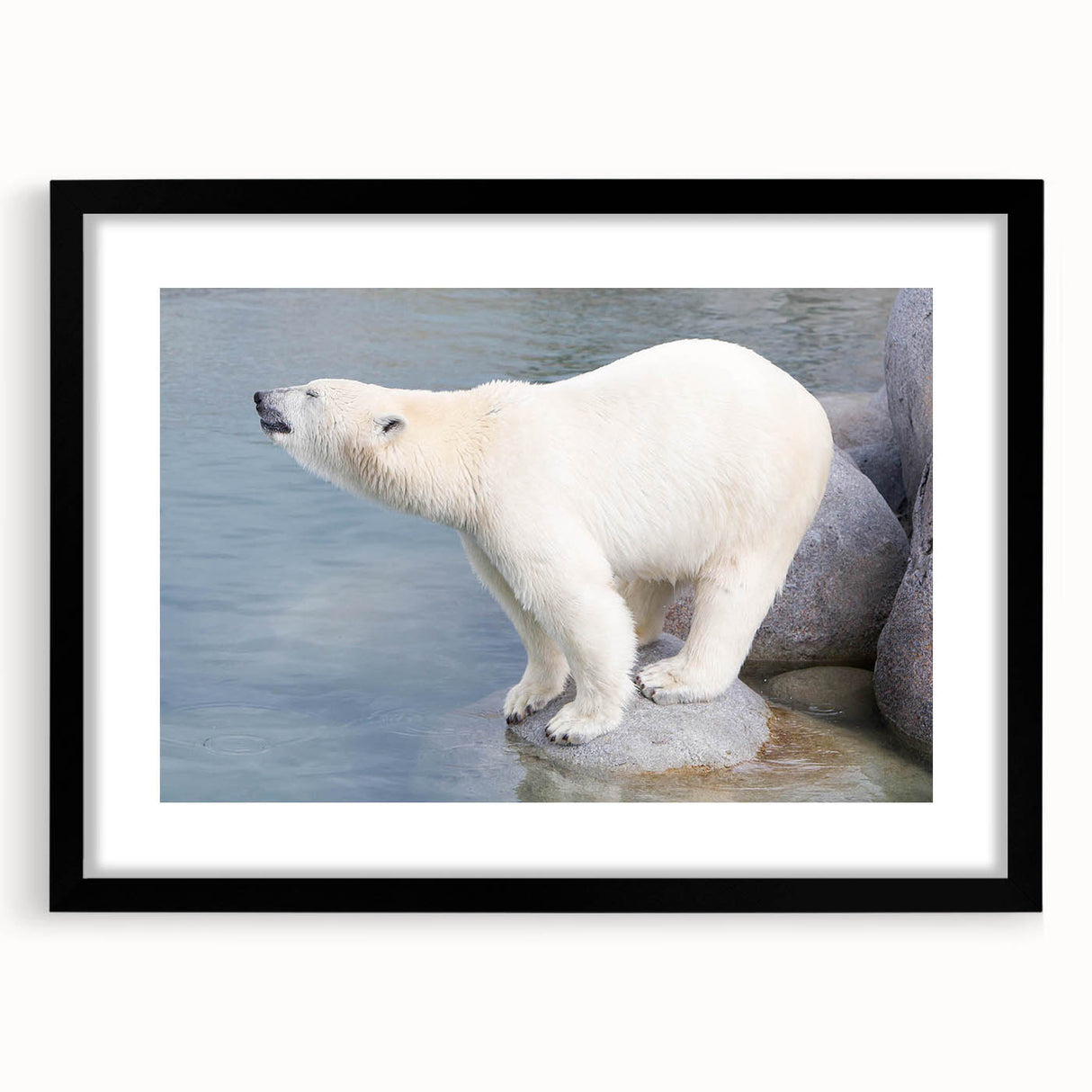 Black-framed wall art featuring a striking polar bear design, showcasing intricate details and a contemporary aesthetic, perfect for modern home decor.