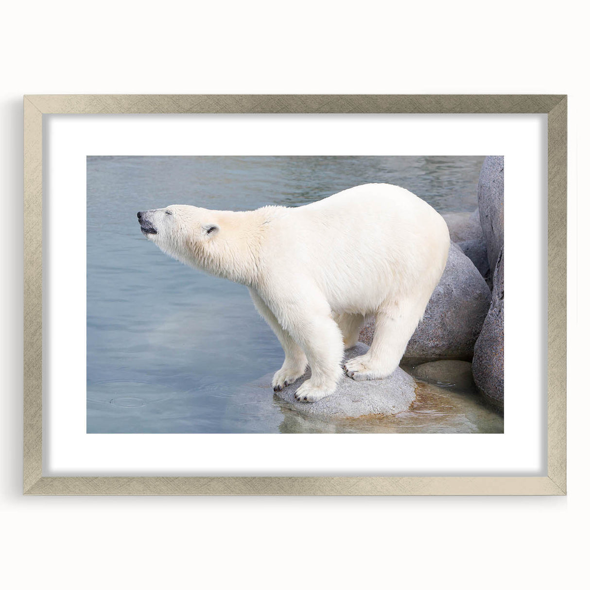 Polar bear wall art framed in silver, showcasing a detailed and vibrant design, perfect for enhancing home decor with a touch of wildlife elegance.