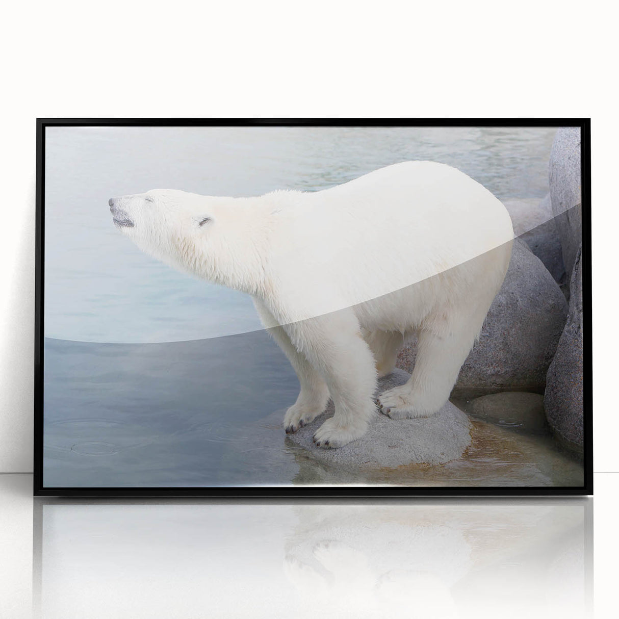 Framed wall art featuring a striking polar bear design on a black background, showcasing intricate details and vibrant colors, perfect for animal lovers and modern decor enthusiasts.