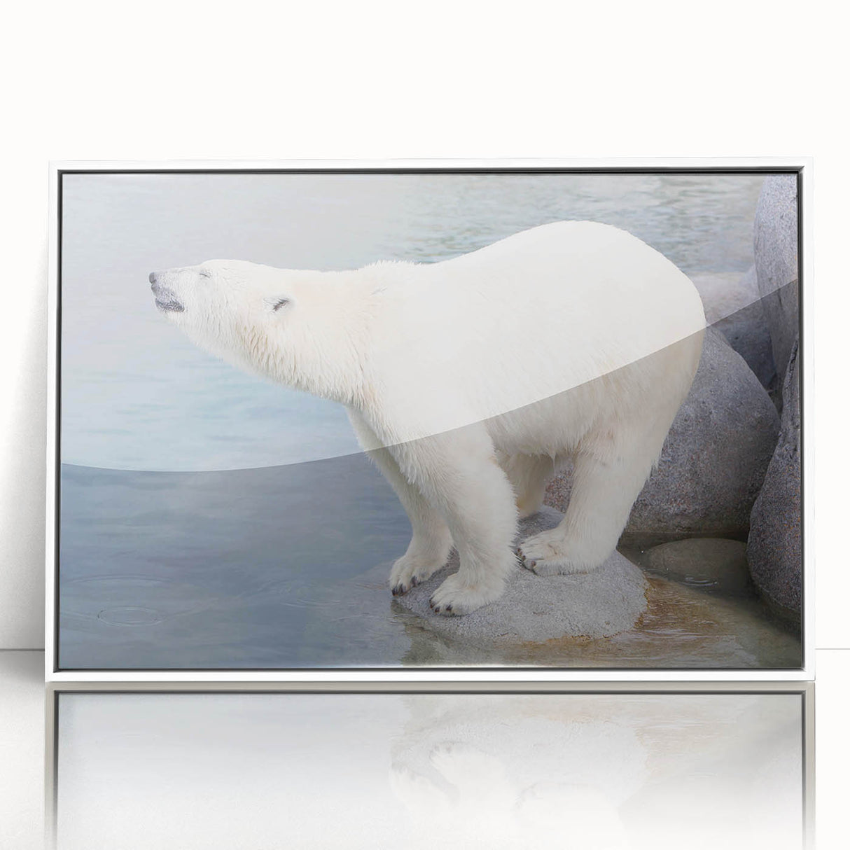 Framed wall art featuring a striking polar bear design in vibrant colors, displayed in a white frame with an acrylic front, perfect for home decor enthusiasts.