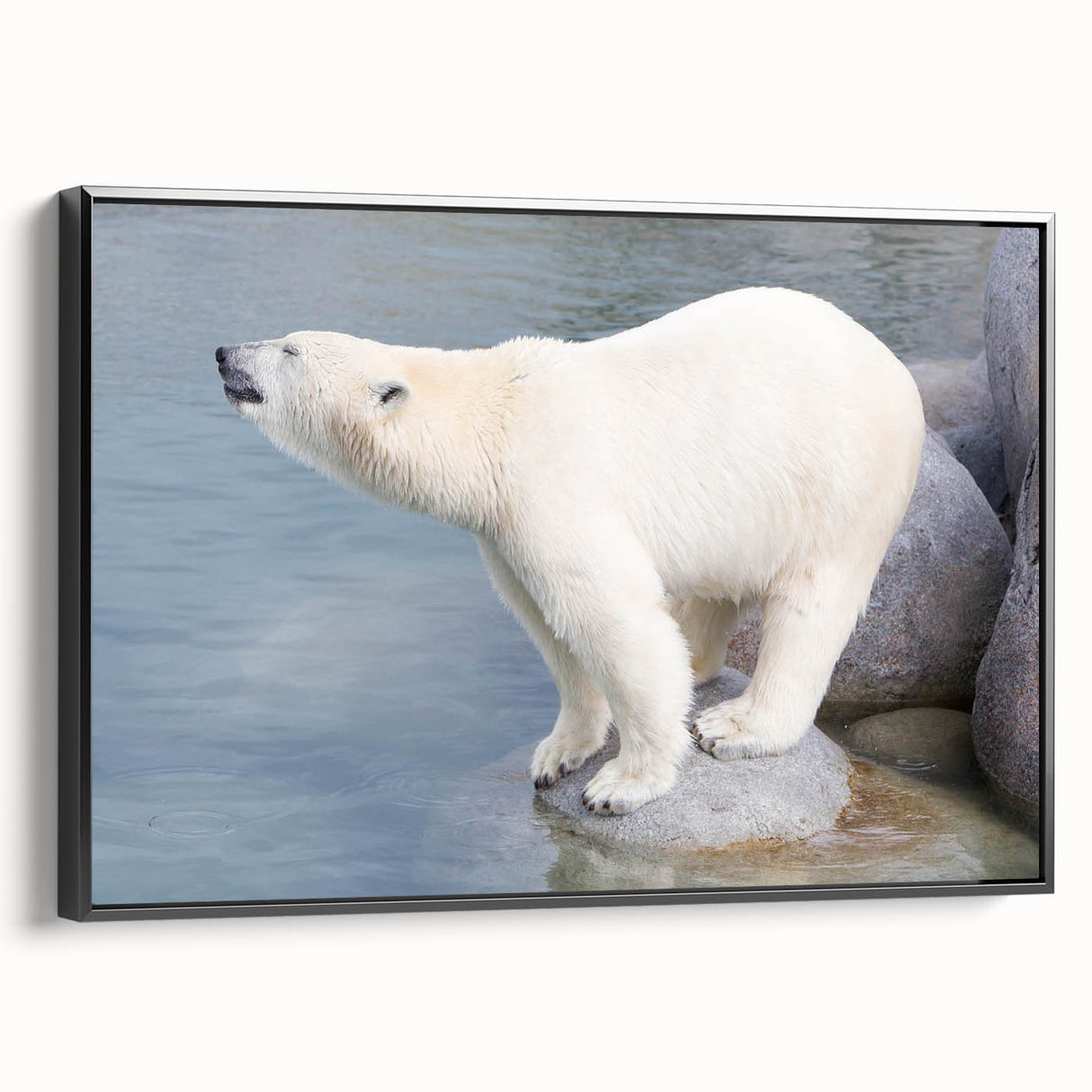 Framed canvas wall art featuring a polar bear design with a black frame, showcasing a side view of the artwork against a neutral background, ideal for wildlife decor.