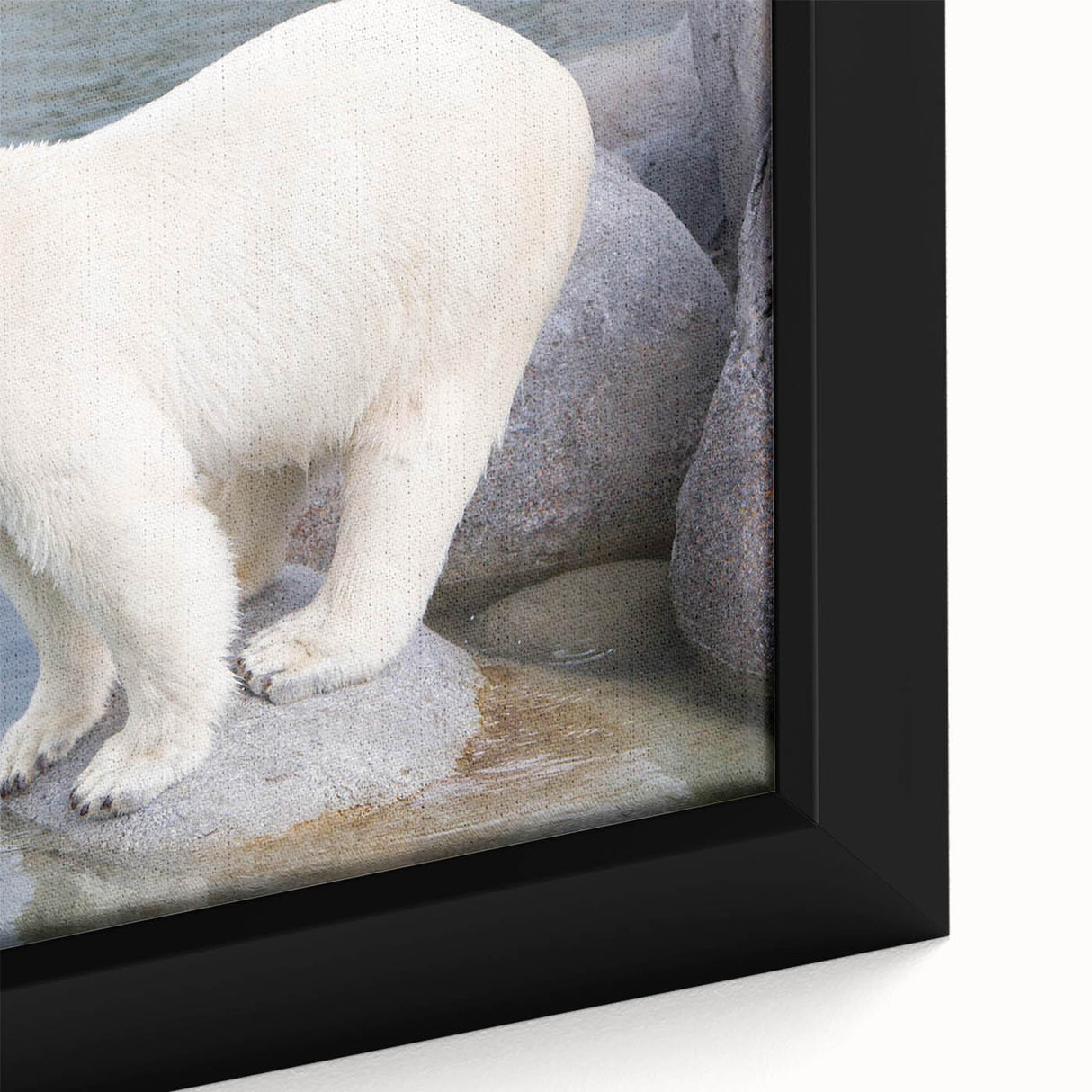 Close-up of a framed canvas featuring a polar bear design in a minimalist style, showcasing intricate details and soft color tones, perfect for modern home decor.