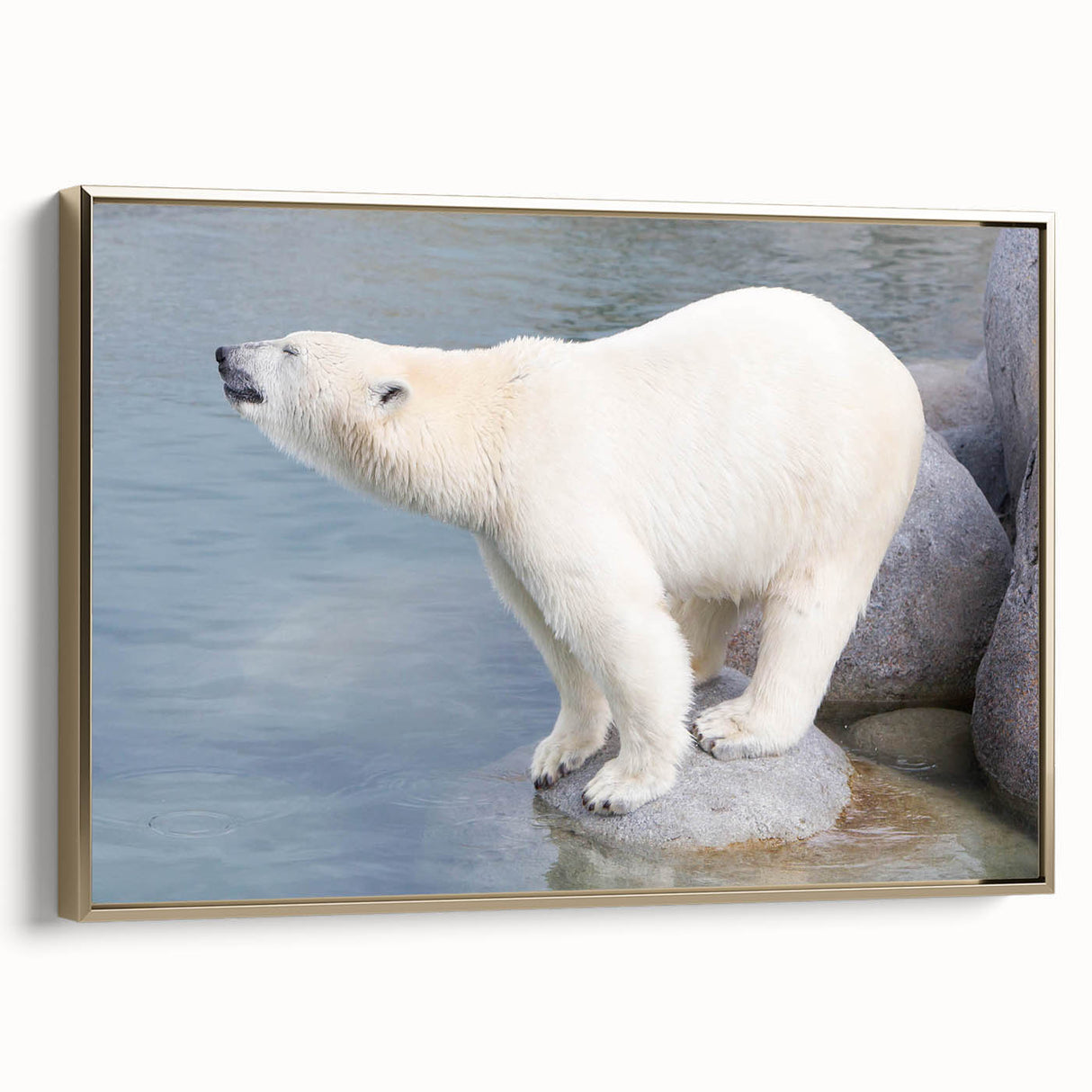 Framed wall art featuring a side view of a polar bear design on canvas, showcasing intricate details and a gold frame, perfect for enhancing modern home decor.