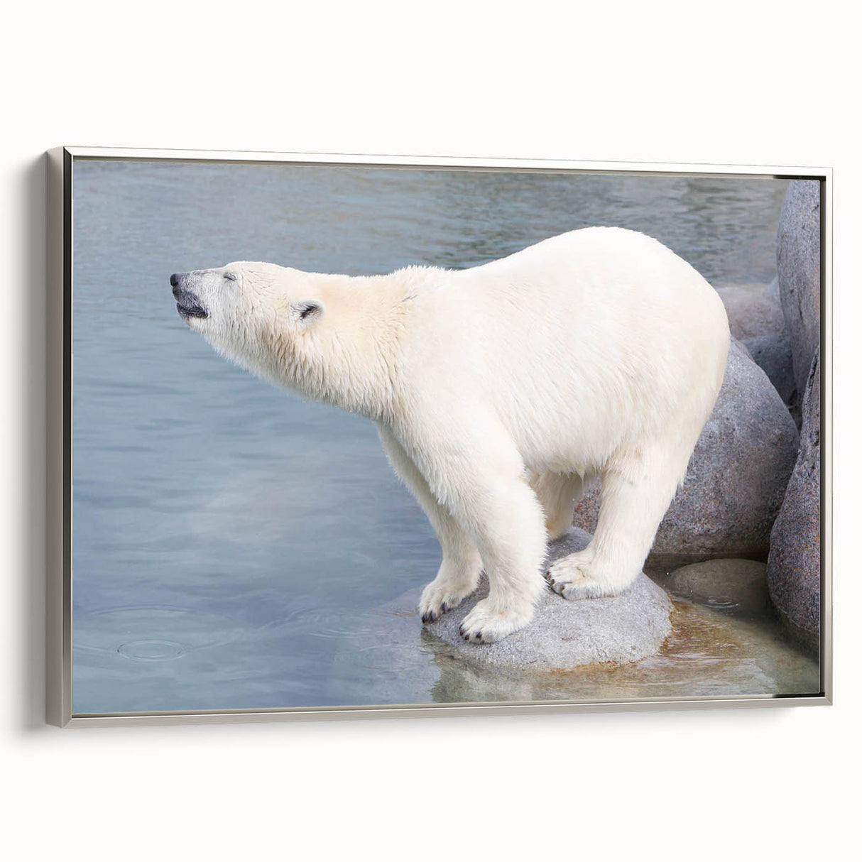 Framed wall art featuring a striking polar bear design on canvas, showcased from a side view with a sleek silver frame, ideal for wildlife-themed decor.