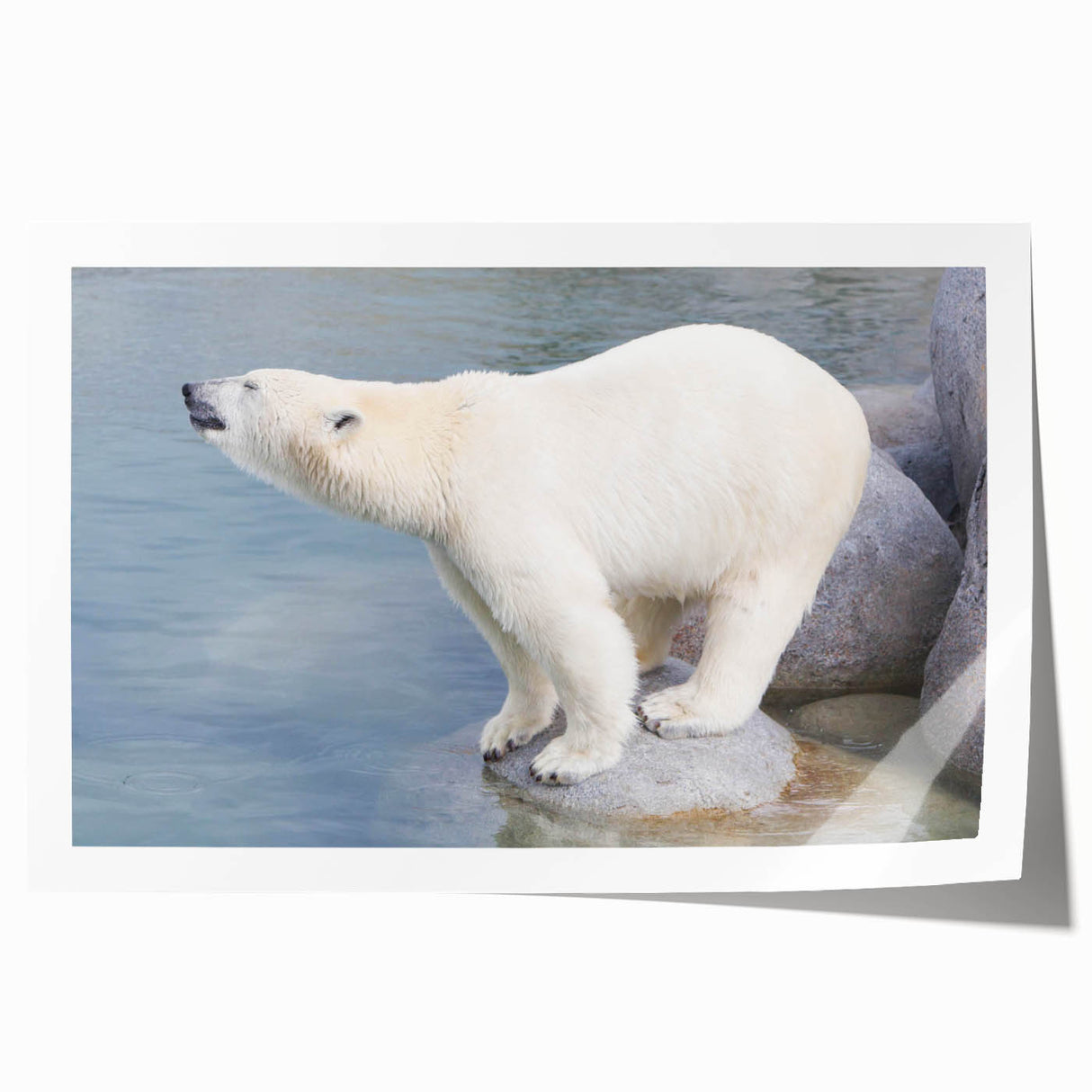 Polar bear wall art print showcasing a minimalist design with soft blue and white tones, highlighting the majestic animal in its natural habitat, perfect for home decor.