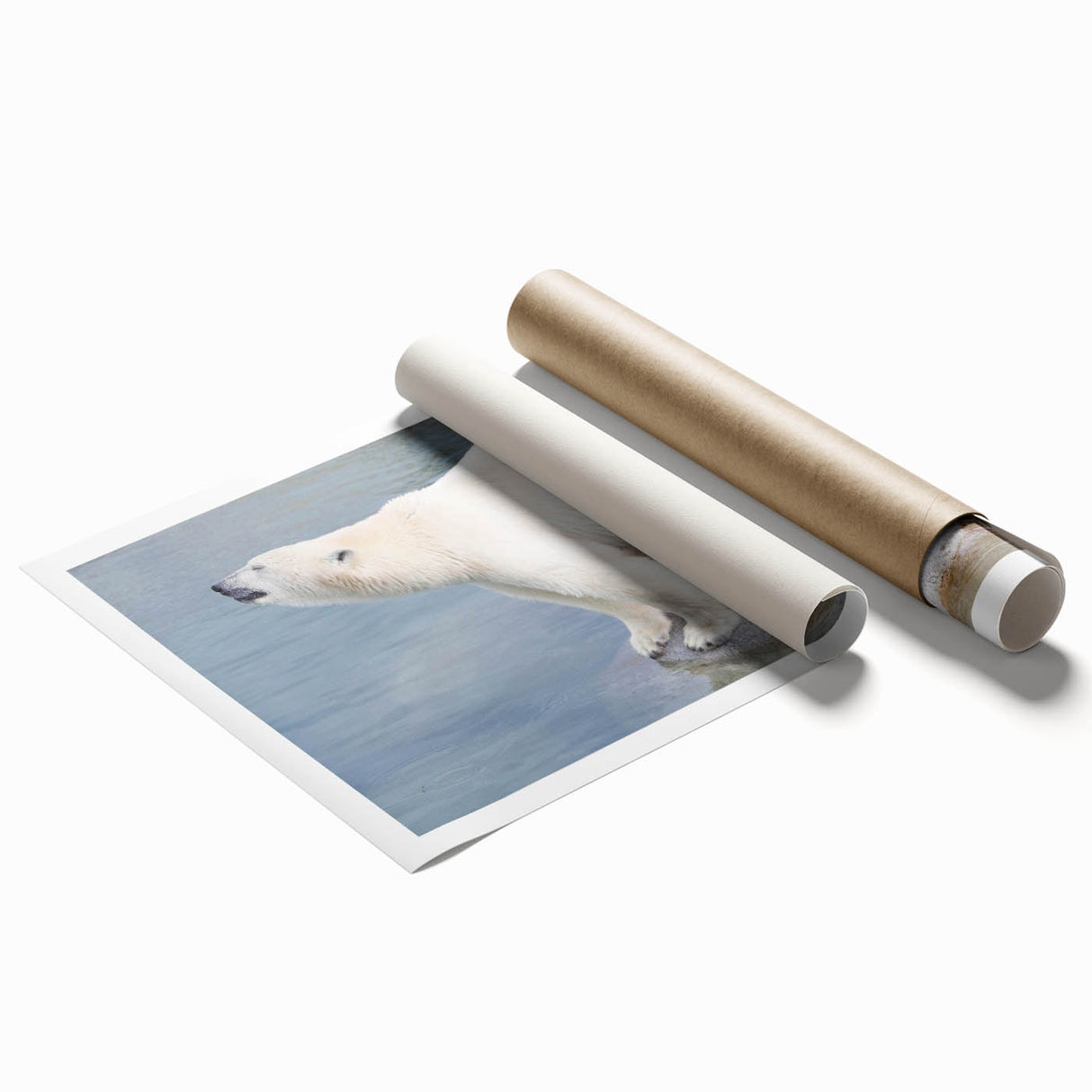 Polar bear wall art print showcasing a striking design with vivid colors, rolled and ready for display, emphasizing wildlife conservation and nature aesthetics.