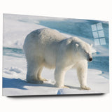 Acrylic wall art showcasing a side view of a polar bear design, featuring intricate details and vibrant colors, ideal for animal lovers and modern home decor.