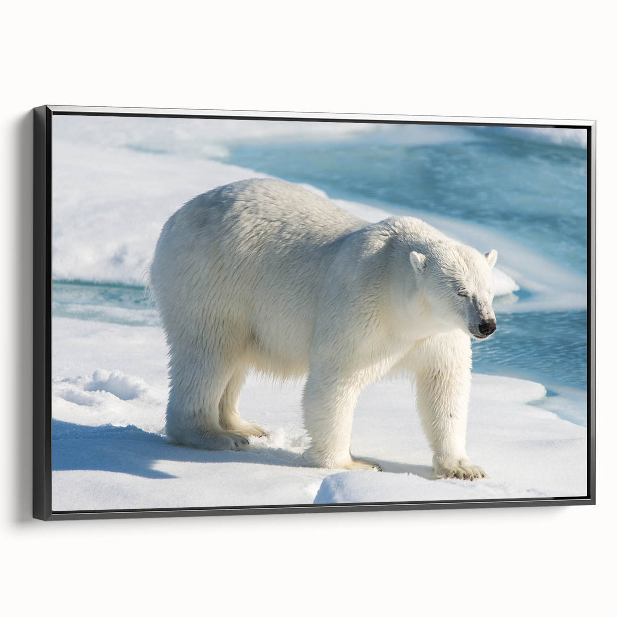 Framed canvas wall art featuring a polar bear design, showcasing intricate details and vibrant colors, displayed against a black backdrop for a striking contrast.