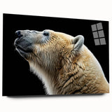 Stylish polar bear wall art design displayed in a sleek acrylic frame, showcasing a vibrant side view. Perfect for modern home decor and wildlife enthusiasts.