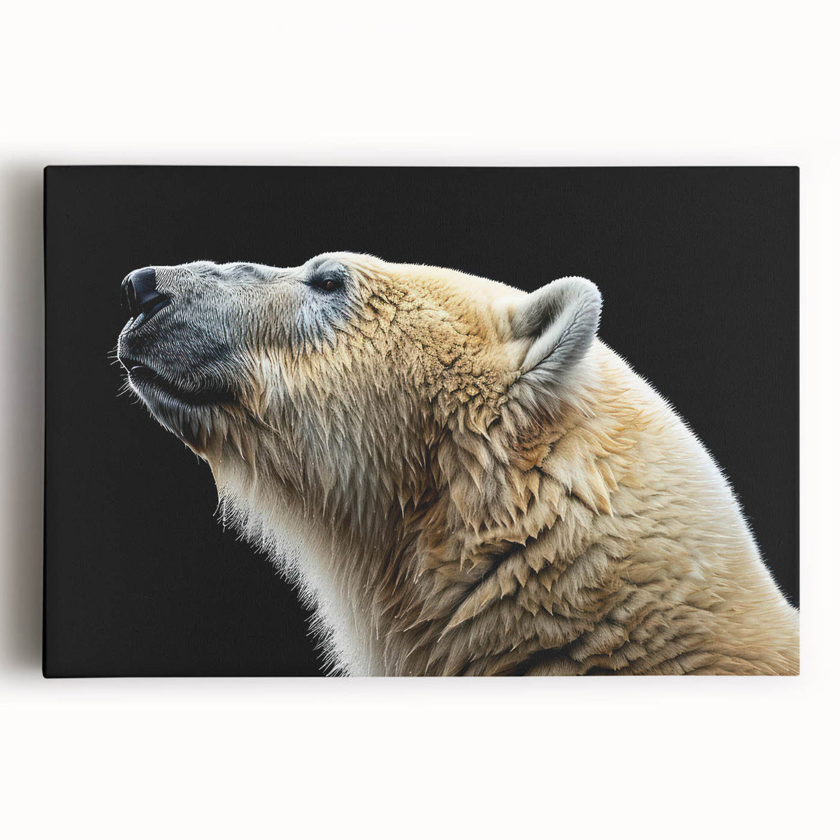 Stretched canvas wall art featuring a striking polar bear design against a snowy background, ideal for wildlife enthusiasts and modern decor.