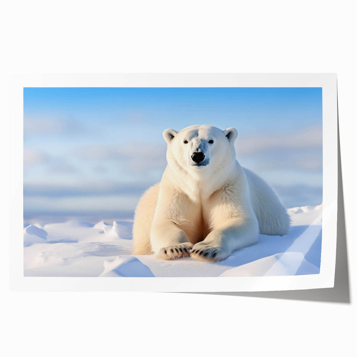 Polar bear wall art print showcasing a minimalist design with a stark white background, emphasizing the majestic bear's features and textures, perfect for nature lovers.