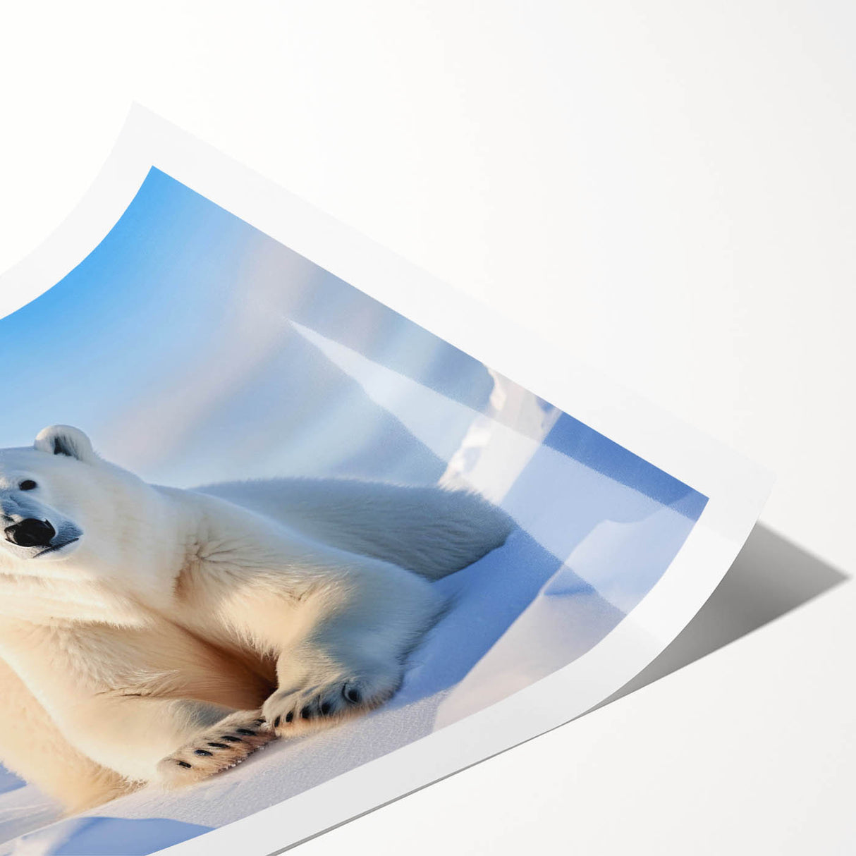 Polar bear wall art print showcasing a striking design of a polar bear against a minimalist background, perfect for adding a touch of nature to home decor.