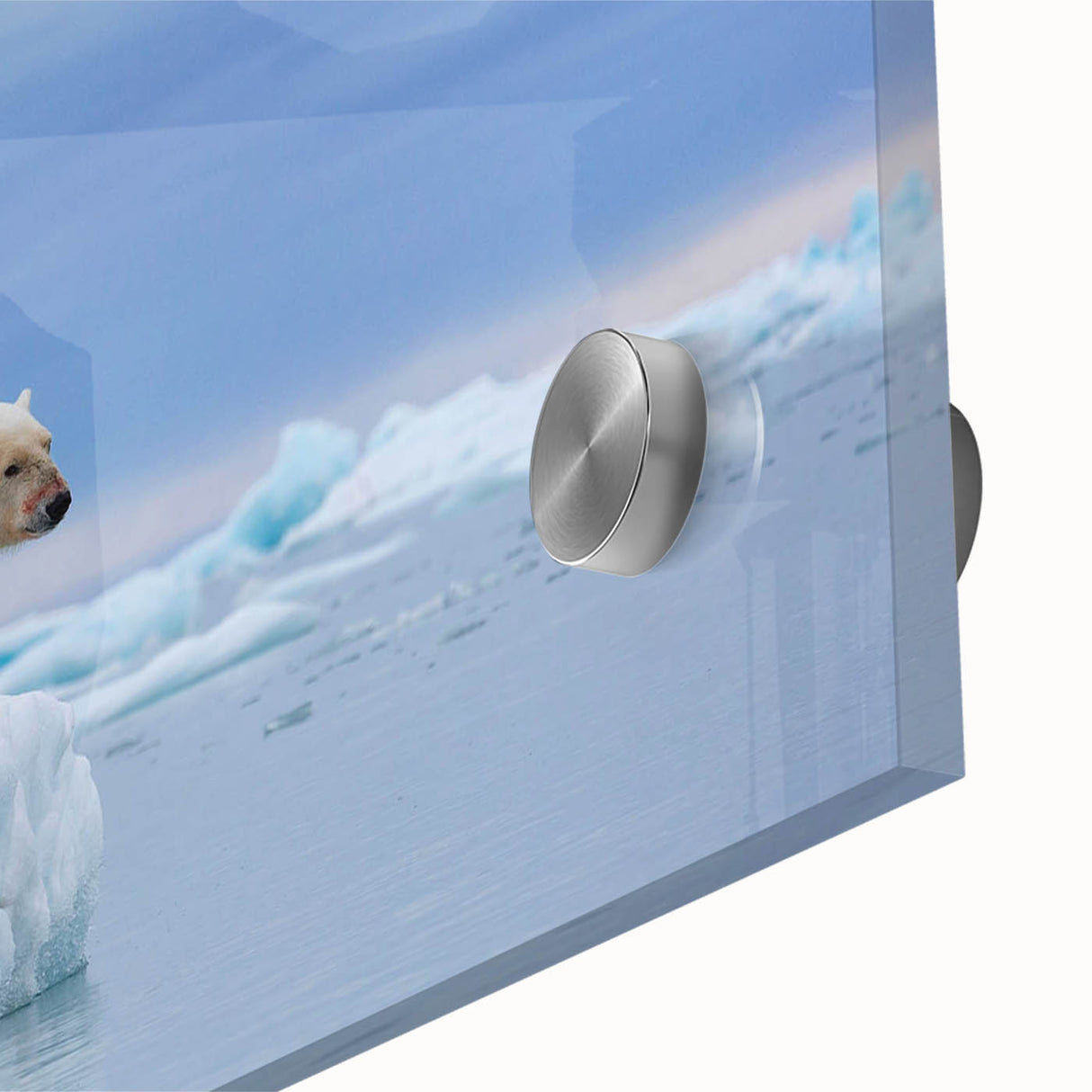Close-up of a polar bear wall art design on acrylic glass, showcasing intricate details and vibrant colors, ideal for modern home decor. This striking piece adds a unique touch to any room, highlighting the majesty of wildlife.