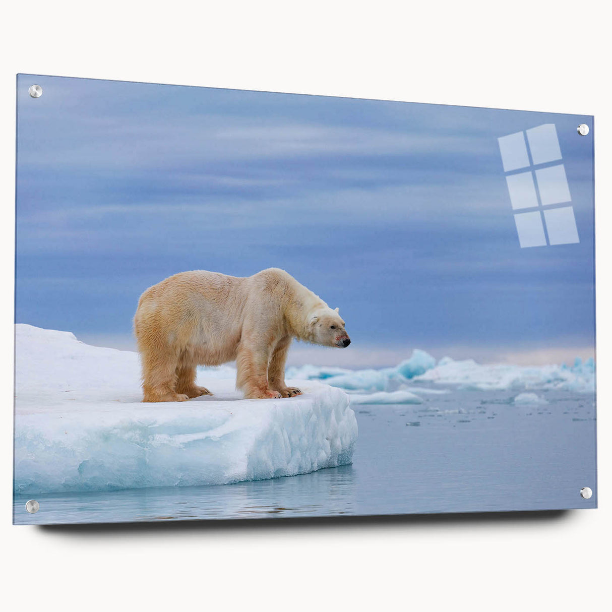 Acrylic wall art featuring a side view of a polar bear design, showcasing intricate details and vibrant colors, ideal for nature-inspired decor.
