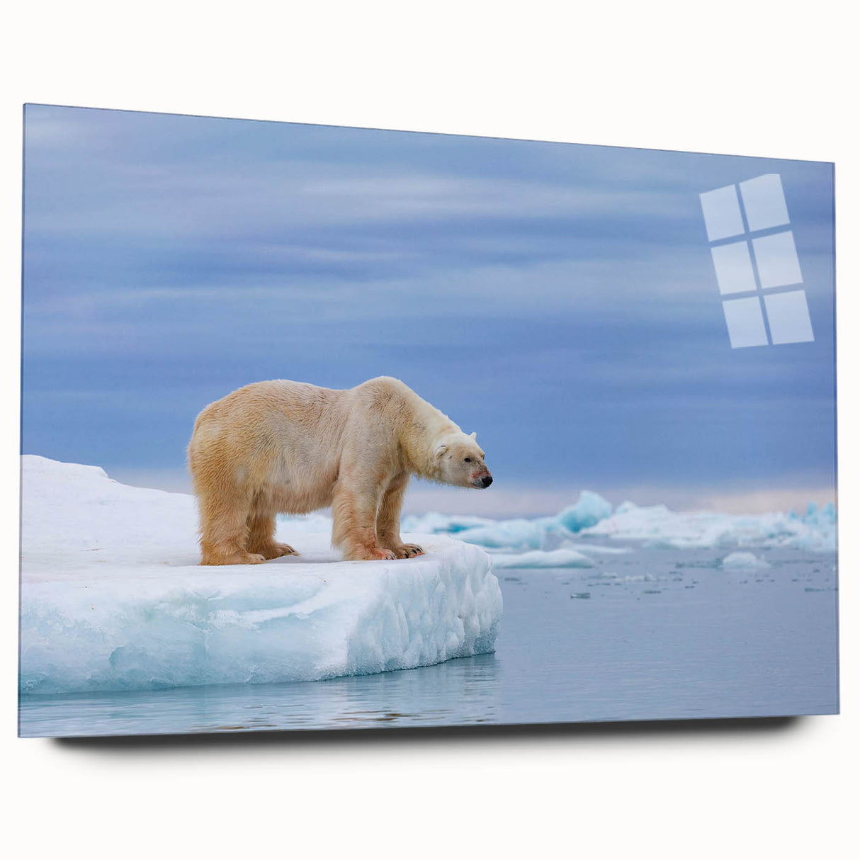 Polar bear wall art collection showcasing a side view of a sleek acrylic glass design, emphasizing the intricate details and vibrant colors, perfect for animal lovers.