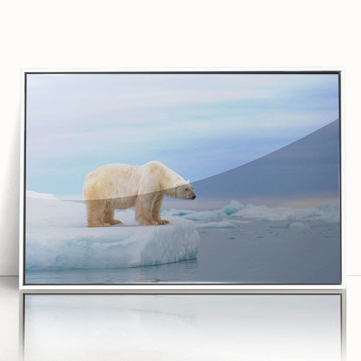 Framed wall art showcasing a polar bear design in a modern acrylic frame, featuring a white background that highlights the bear's intricate details and texture. Ideal for adding a touch of wildlife beauty to any contemporary space.