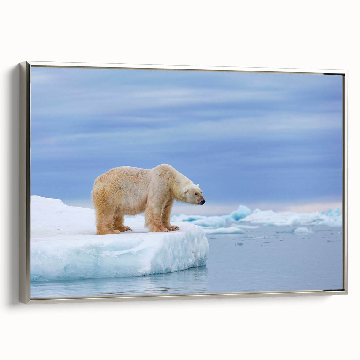 Framed canvas wall art featuring a striking polar bear design in silver tones, showcasing intricate details and textures, perfect for modern home decor.