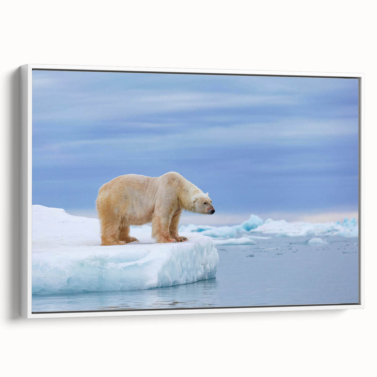 Framed wall art featuring a polar bear design in a minimalist style, showcasing a white canvas with a side view that emphasizes its sleek edges, perfect for modern home decor.