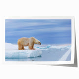 Polar bear wall art design showcasing a striking illustration of a polar bear in a snowy landscape, perfect for winter-themed decor or wildlife enthusiasts.