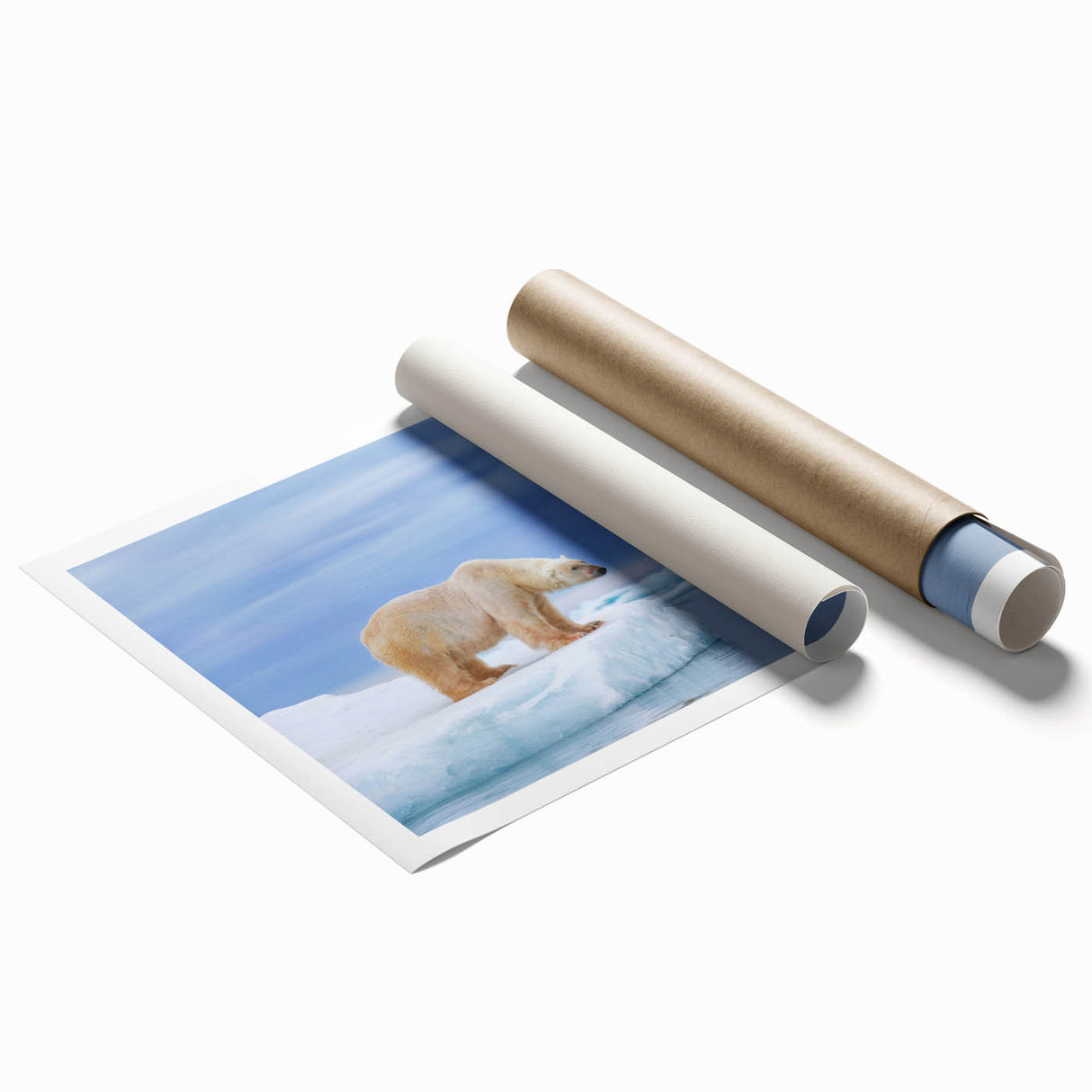 Polar bear wall art design showcasing a beautifully illustrated polar bear against a vibrant icy landscape, printed on high-quality paper, perfect for home decor. This rolled print captures the majesty of Arctic wildlife, ideal for nature enthusiasts and modern interiors.