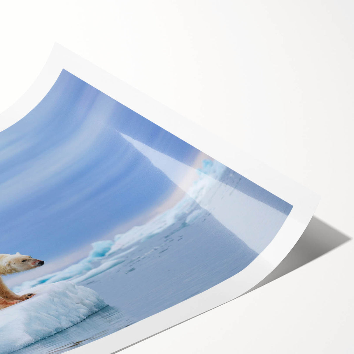 Polar bear wall art print showcasing a detailed illustration of a majestic polar bear against a minimalist backdrop, perfect for adding a touch of nature to home decor.