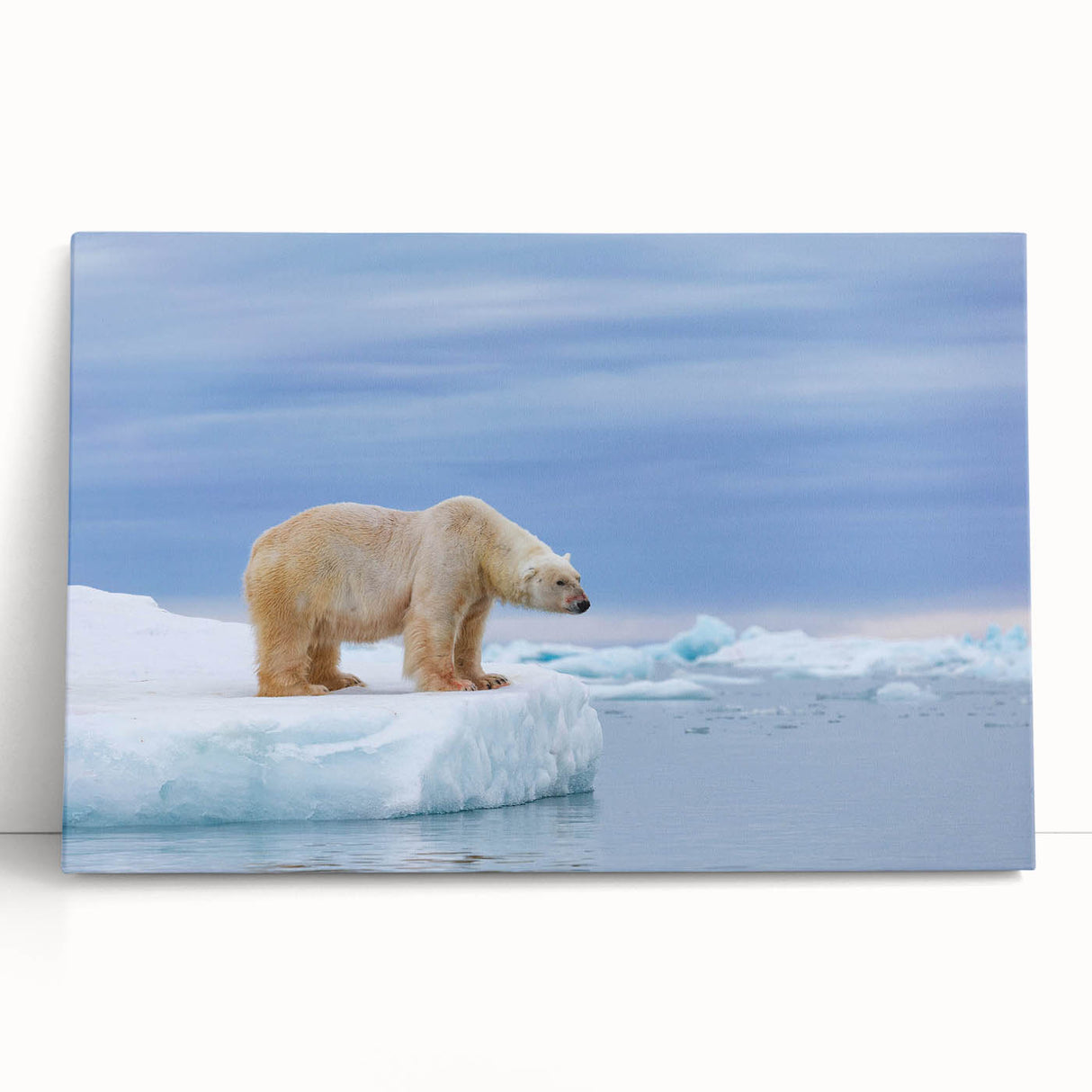 Stretched canvas wall art featuring a majestic polar bear design, showcasing intricate details and vibrant colors, perfect for adding a nature-inspired touch to any room.